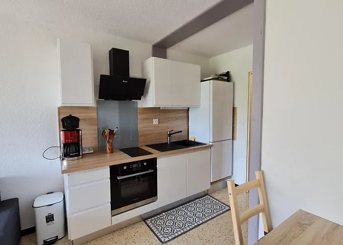 Cap D'agde Du Mole Appartement